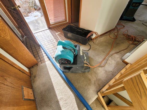 Best Water damage contractors near me  in Susquehanna Trails, PA