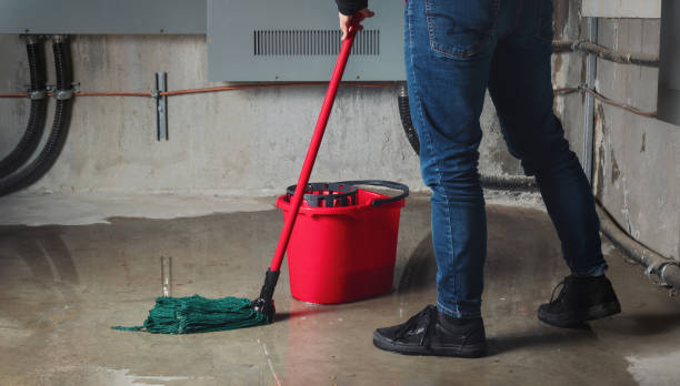 Best Water damage restoration near me  in Susquehanna Trails, PA