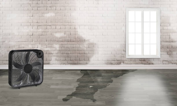 Water damage restoration experts in PA