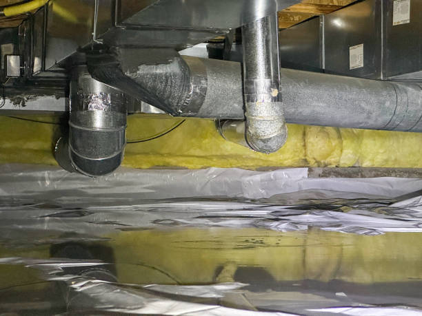 Best Water damage cleanup near me  in Susquehanna Trails, PA