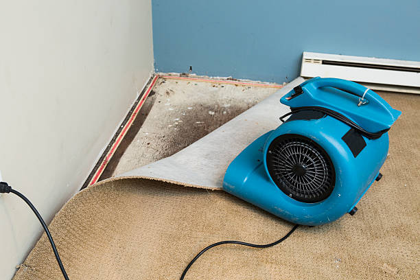 Best Water damage restoration near me  in Susquehanna Trails, PA